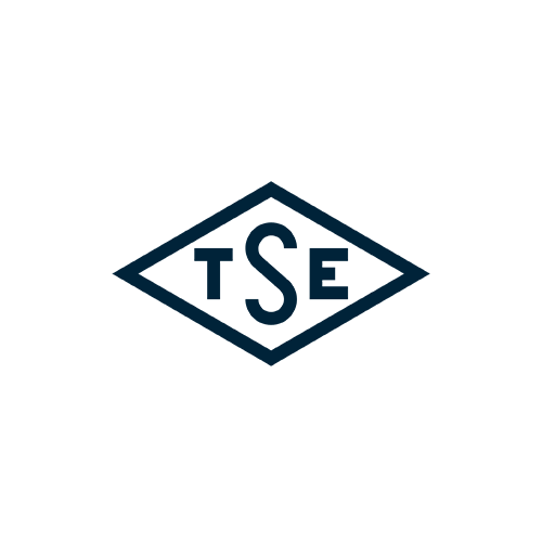 t1